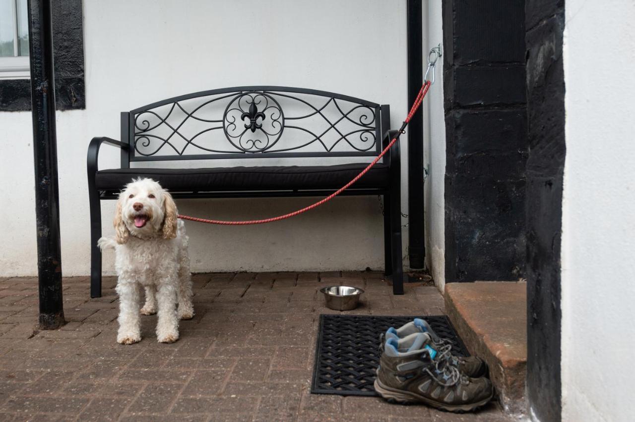 2 Mews Cottages - Town Centre Location Appleby-in-Westmorland المظهر الخارجي الصورة